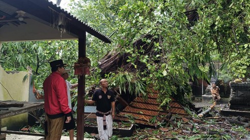 Situasi salah satu pura porak-poranda ditimpa pohon tumbang di Kerobokan Kaja, Kuta Utara, Badung, Senin (6/1/2024).