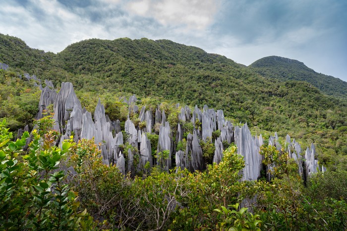 Taman Nasional Gunung Mulu di Malaysia