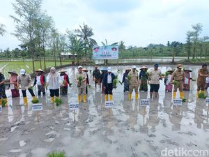 Wamentan Sudaryono Minta Masyarakat NTB Tanam Bibit Gamagora 7