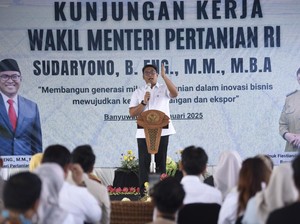 Kunjungi Banyuwangi, Wamentan Ajak Petani Milenial Swasembada Pangan