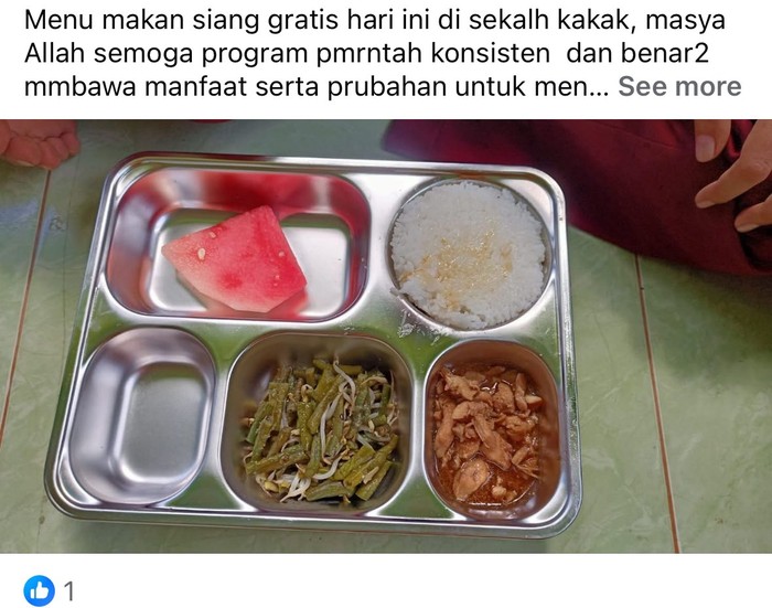 10 Potret Menu Makan Bergizi Gratis yang Viral di Media Sosial