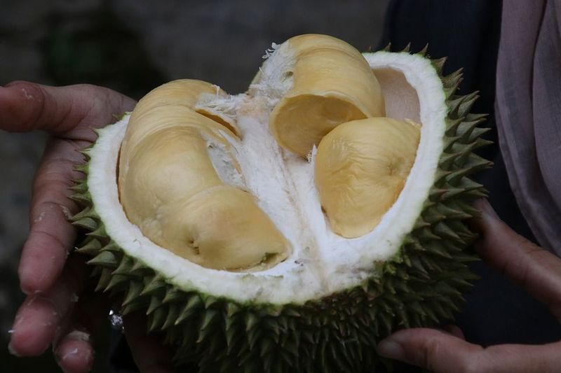 5 Makanan Biasa Ini Disulap Jadi Makanan Termahal di Dunia