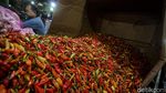 Huhah! Harga Cabai Rawit Merah Tembus Rp 120 Ribu Per Kilogram Huhah! Harga Cabai Rawit Merah Tembus Rp 120 Ribu Per Kilogram
