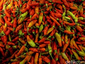 Gagal Panen di Mana-mana Bikin Harga Cabai Setara Daging Sapi