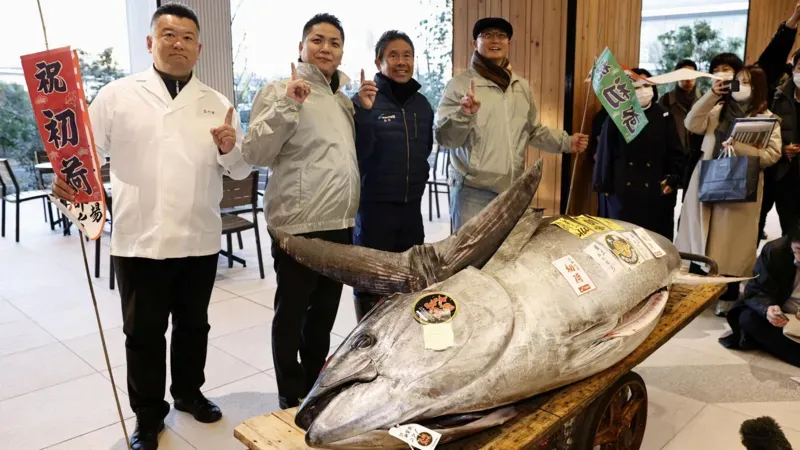 Gokil! Ikan Tuna Sebesar Sepeda Motor Terjual Rp 21 Miliar