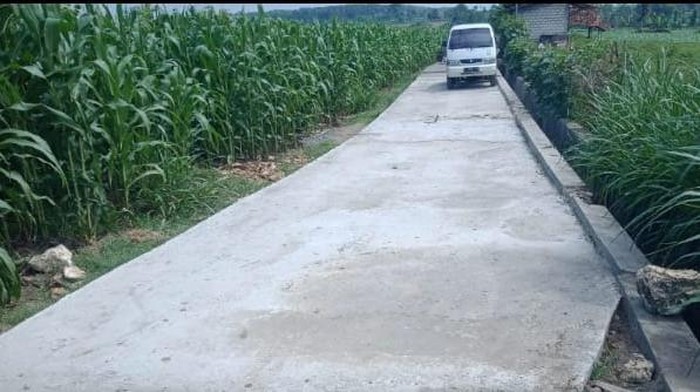 Desa Sumurgeneng yang dijuluki kampung miliarder di Tuban