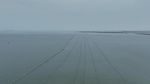 Ini Dia Pagar Misterius 30,16 Km di Laut Tangerang
