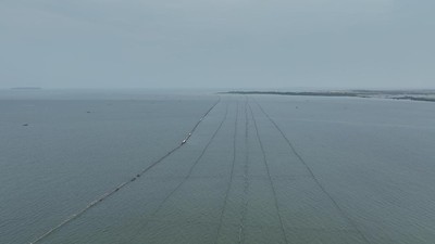 Ini Dia Pagar Misterius 30,16 Km di Laut Tangerang