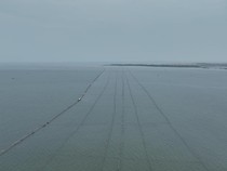 Ada Pagar 30,16 Km di Laut Tangerang Bikin Nelayan Sulit Cari Ikan