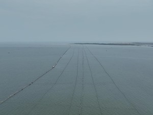 Teka-teki Pagar Misterius 30,16 Km di Laut Tangerang
