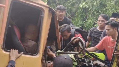 Upaya penyelamatan sopir terjepit di kabin truk setelah tertimpa pohon tumbang di Jembrana, Selasa (7/1/2025).