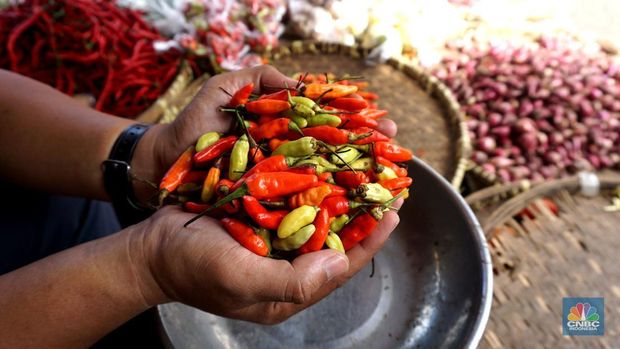 Sejumlah warga membeli cabai di Pasar Minggu, Jakarta, Selasa (7/01/2025). (CNBC Indonesia/Muhammad Sabki)