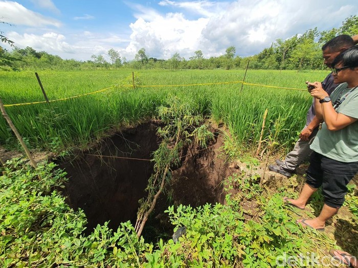 Sinkhole di sawah wilayah Kwangen Kidul, Pacarejo, Semanu, Kabupaten Gunungkidul, Selasa (7/1/2025).
