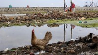Adapun sektor-sektor utama yang berkontribusi dalam penciptaan lapangan kerja ini meliputi sektor pertanian dengan jumlah tenaga kerja meningkat dari 39,5 juta pada 2023 menjadi 40,8 juta pada 2024. Sektor perdagangan dengan tenaga kerja yang naik dari 26,6 juta menjadi 27,3 juta. 