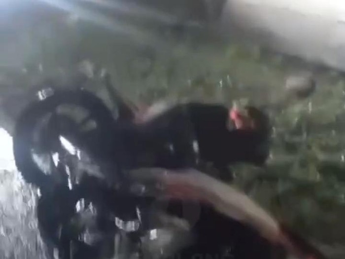 Viral motor tergeletak di kuburan Pemalang.