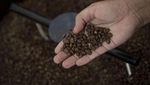 10 Negara Peraih Rekor Terbanyak Konsumsi Daging Sapi dan Cokelat