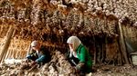 10 Negara Peraih Rekor Terbanyak Konsumsi Daging Sapi dan Cokelat