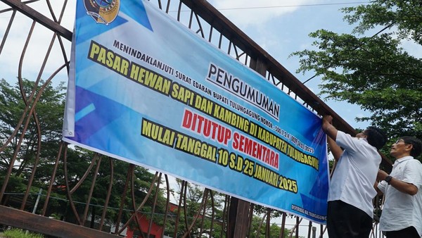 6 Pasar Hewan di Tulungagung Ditutup Imbas Virus PMK