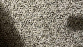 Semoga laba-laba itu tidak terinjak. Foto: (Bored Panda)