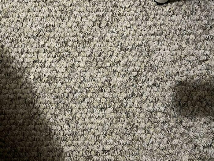 Uji Mata Anda, Hewan dan Benda Ini Menyatu dengan Sekitarnya