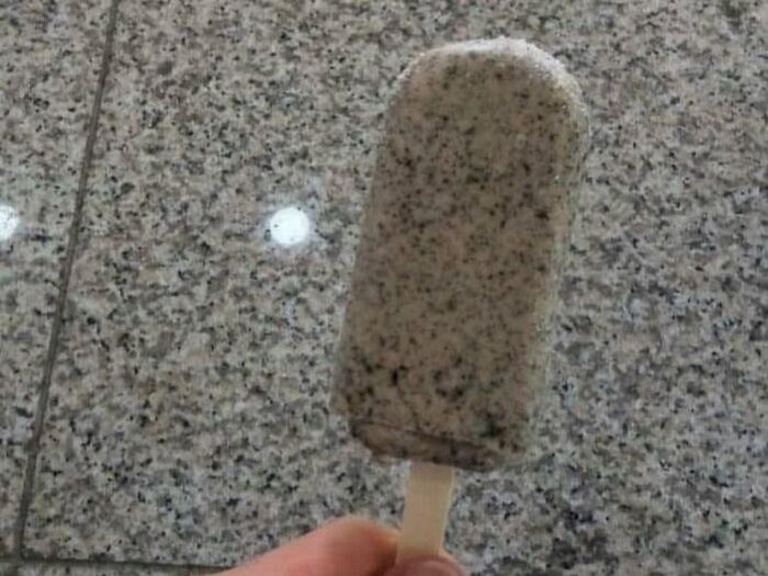 Uji Mata Anda, Hewan dan Benda Ini Menyatu dengan Sekitarnya