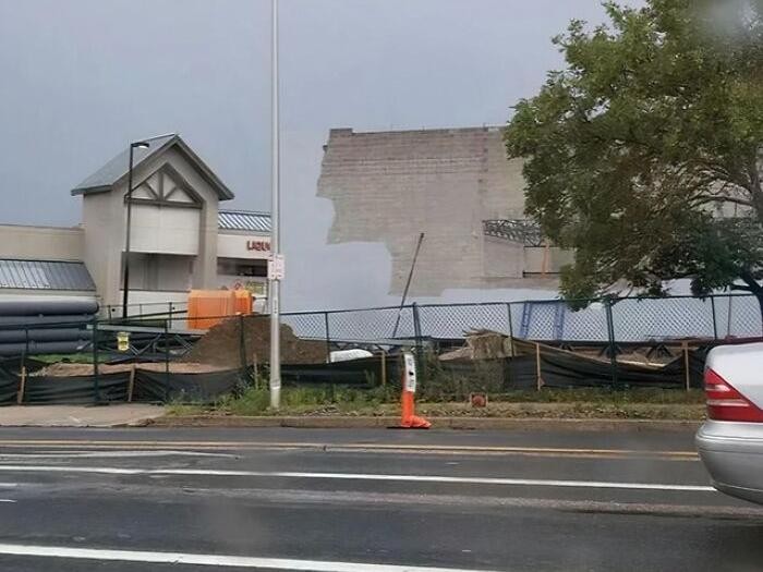 Uji Mata Anda, Hewan dan Benda Ini Menyatu dengan Sekitarnya