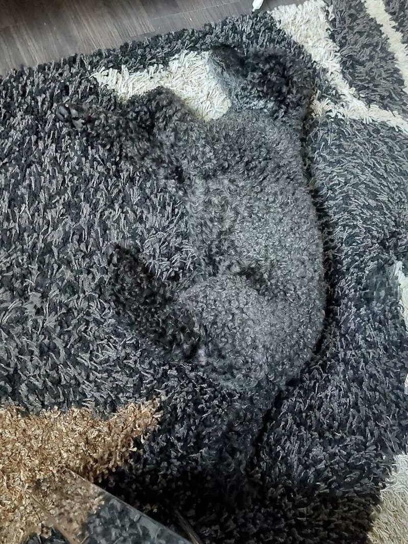 Ada-ada saja, bak bunglon, benda-benda ini bisa menyatu dengan lingkungan sekitar dengan sempurna lho. Kalian bisa melihatnya dengan jelas tidak nih?