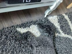 Benda-benda ini Menyatu Sempurna dengan Lingkungan Sekitar, Bisa Lihat?