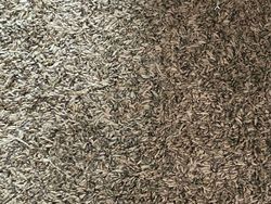 Benda-benda ini Menyatu Sempurna dengan Lingkungan Sekitar, Bisa Lihat?