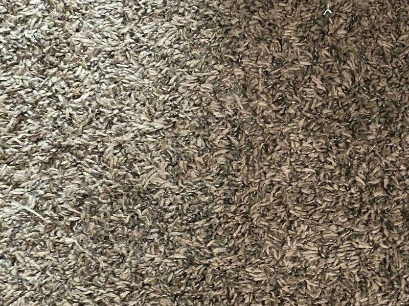 Ada-ada saja, bak bunglon, benda-benda ini bisa menyatu dengan lingkungan sekitar dengan sempurna lho. Kalian bisa melihatnya dengan jelas tidak nih?