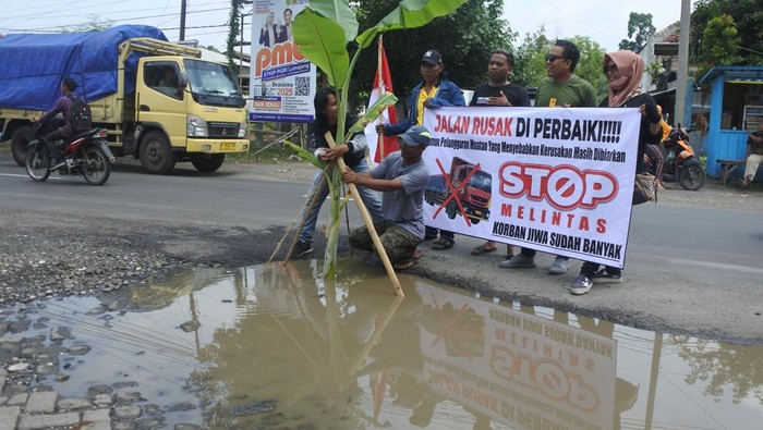 Aksi protes jalan rusak di Jember Warga menanam pohon pisang dan memberi tanda pada jalan provinsi yang rusak di Kecamatan Kencong, Jember, Jawa Timur, Rabu (8/1/2025). Aksi penanaman pohon pisang sejauh 10 kilometer di jalan Jember-Lumajang itu sebagai bentuk protes warga karena rusaknya jalan antar kabupaten akibat dilewati truk over dimension overload (ODOL/dimensi dan muatan berlebih). ANTARA FOTO/Seno/tom.
