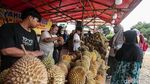 Berburu Durian di Kalimalang