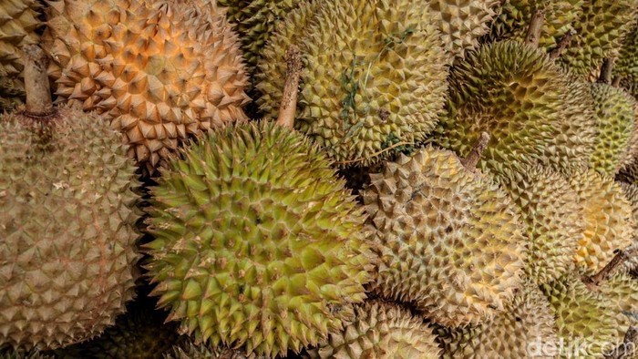 Musim buah durian tiba, sejumlah lahan kosong di pinggir jalan mulai digunakan untuk berjualan. Seperti yang terlihat di Kalimalang, Rabu (8/1/2025).