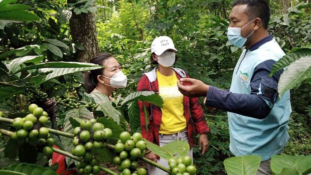Desa  Wisata Gombengsari Banyuwangi