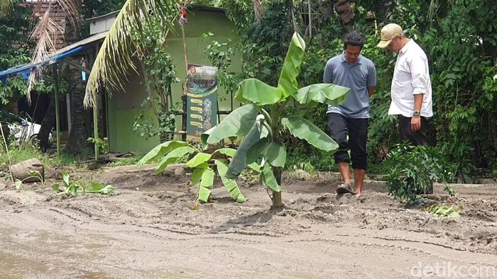 Kondisi jalan Tayu-Dukuhseti tepatnya Desa Alasdowo ditanami pohon warga sebagai bentuk protes jalan rusak, Rabu (8/1/2025).