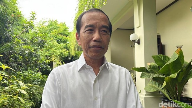 Kata PDIP dan Jokowi Usai Effendi Simbolon Singgung Posisi Megawati