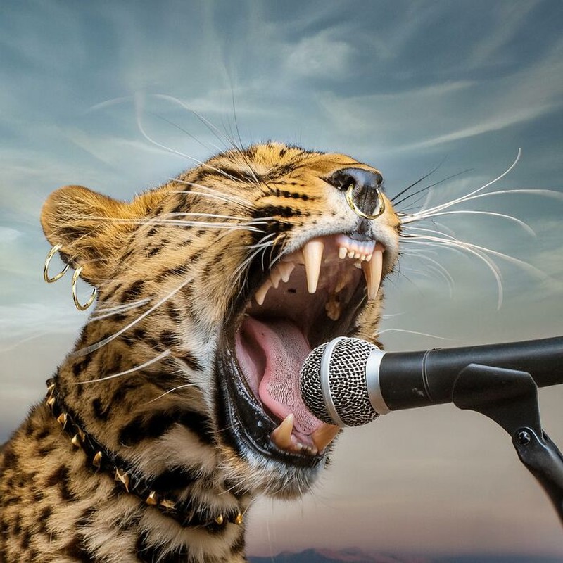 Karya Aneh Master Photoshop