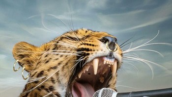 Macan tutul jadi seorang rocker. Foto: Instagram.com/selftasy