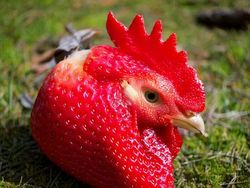 Editan Gokil Master Photoshop Bikin Melotot