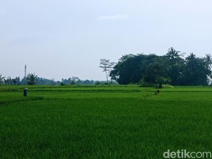 Cerita Petani Tua Tasik dalam Bayang-bayang Kekhawatiran