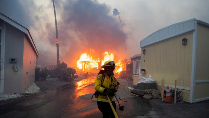 Kebakaran Hutan di Los Angeles Merembet ke Rumah Warga Firefighters work to extinguish the fire as the Palisades Fire burns during a windstorm on the west side of Los Angeles, California, U.S. January 7, 2025. REUTERS/Ringo Chiu