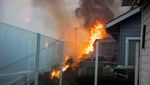 Kebakaran Hutan di Los Angeles Merembet ke Rumah Warga