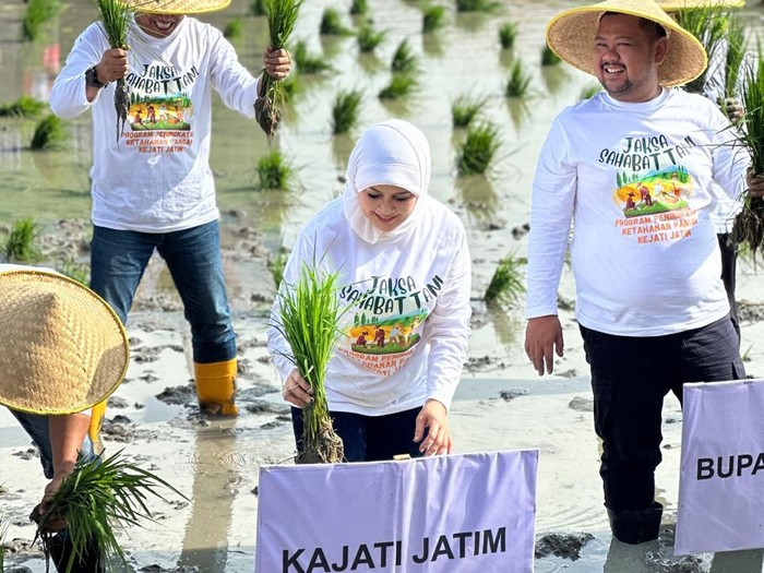 Kejaksaan Tinggi Jawa Timur bersama para Kajari se-Jawa Timur menggelar kegiatan penanaman padi bertajuk Jaksa Sahabat Tani. Foto: Dok. Istimewa