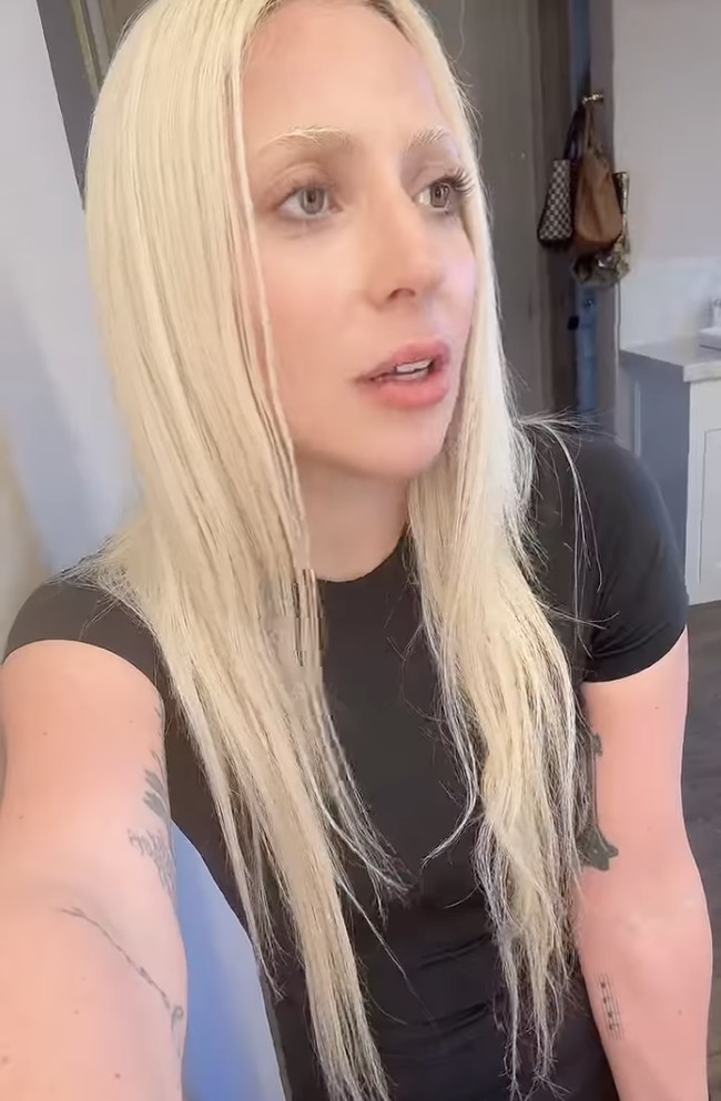 Baru-baru ini, Gaga terlihat pucat dengan penampilannya yang serba pirang. Tanpa makeup, rambut blonde, dan alis putih seperti efek uban membuat Lady Gaga hampir tidak dikenali. Foto: dok. Instagram @ladygaga