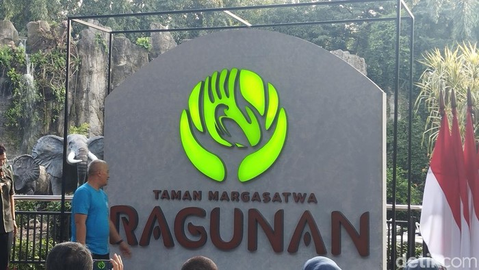 Logo Taman Margasatwa Ragunan yang baru memiliki gambar Elang Bondol berwarna hijau di bagian tengah. (Maulana Ilhami Fawdi/detikcom)