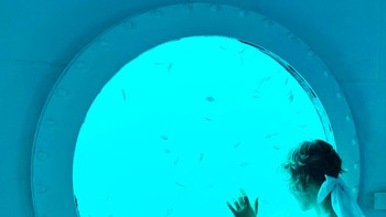 Koch yang merupakan insinyur kedirgantaraan, menghabiskan 101 hari di bawah Laut Karibia di luar Teluk Linton, Panama. Foto: Ocean Builders