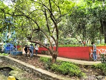 Tren Koin Jagat Berpotensi Rusak Taman, Pemkot Bandung Risau