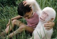 Penampakan Hewan Albino Langka Bikin Terpesona