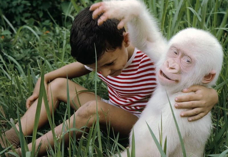 Penampakan Hewan Albino Langka Bikin Terpesona