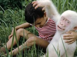 Penampakan Hewan Albino Langka Bikin Terpesona